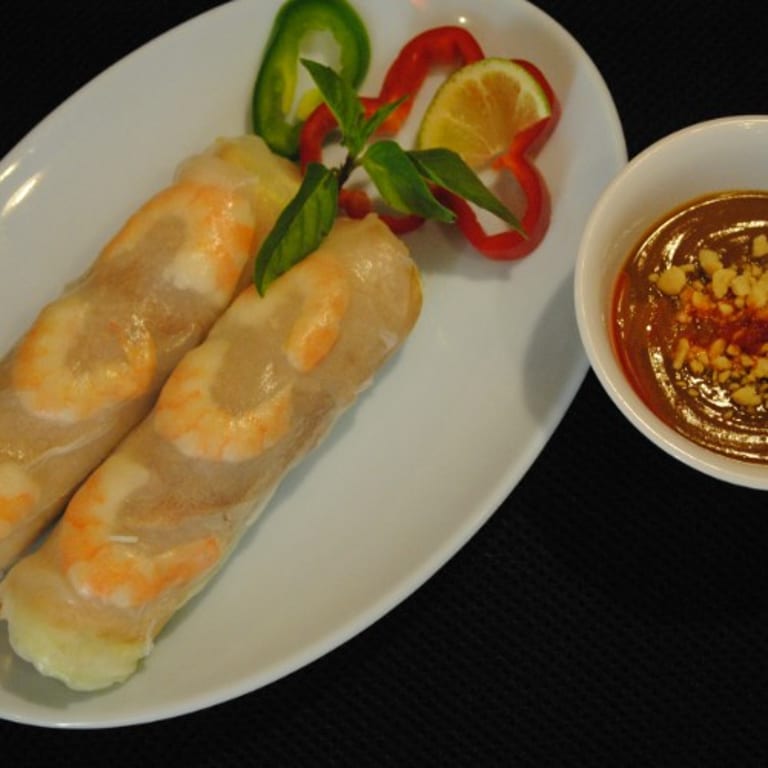 Fresh Vietnamese Spring Rolls and More
